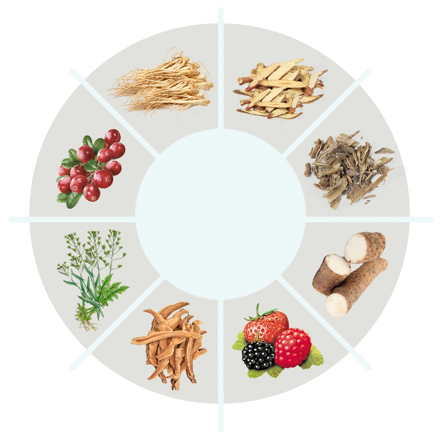 A botanical wheel supplied in the AquaFit pack showing eight different plants